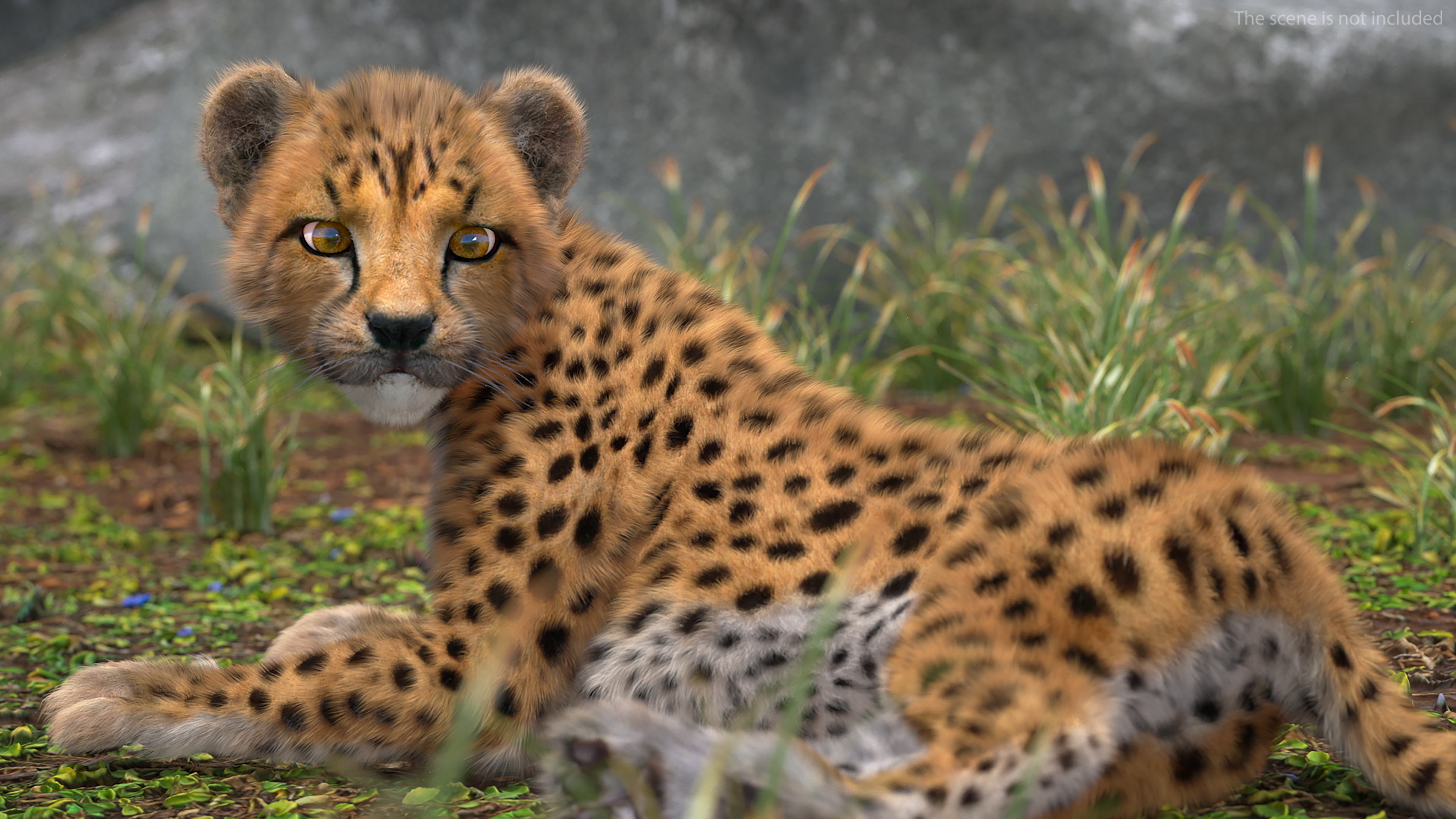 3D Cheetah Cub Lying Pose Fur