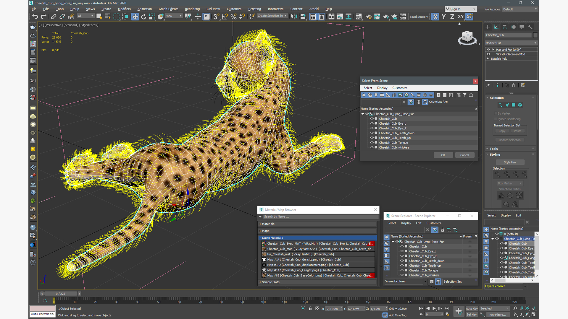 3D Cheetah Cub Lying Pose Fur