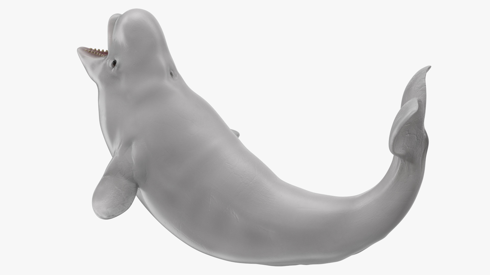 3D Beluga Whale Young Playful Pose