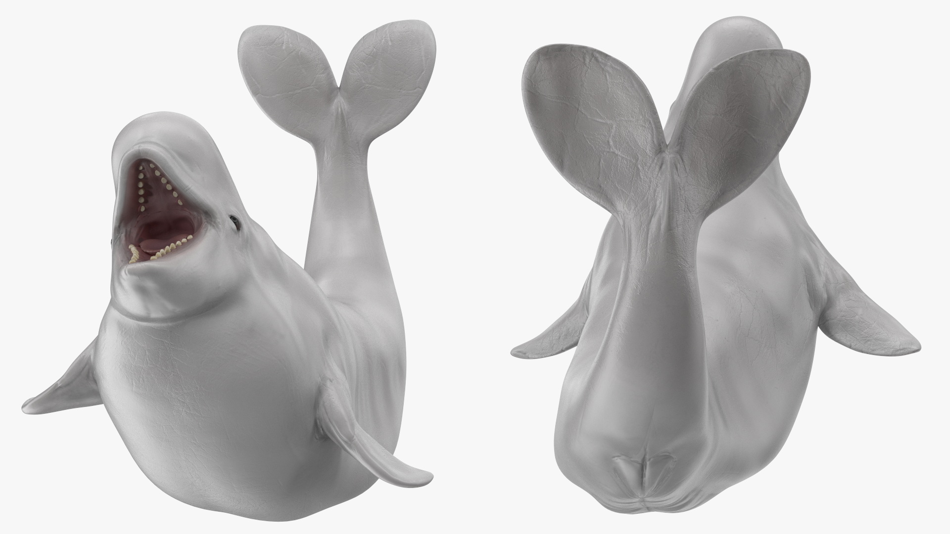 3D Beluga Whale Young Playful Pose