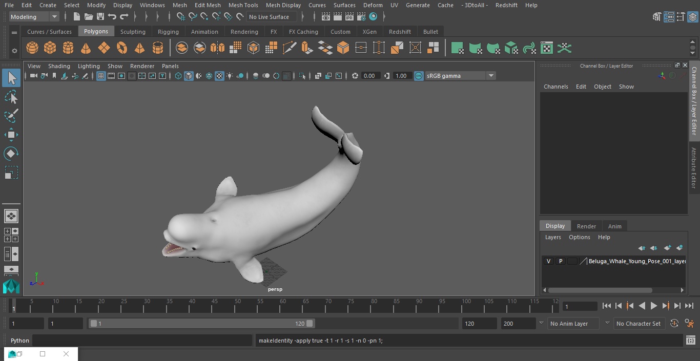 3D Beluga Whale Young Playful Pose