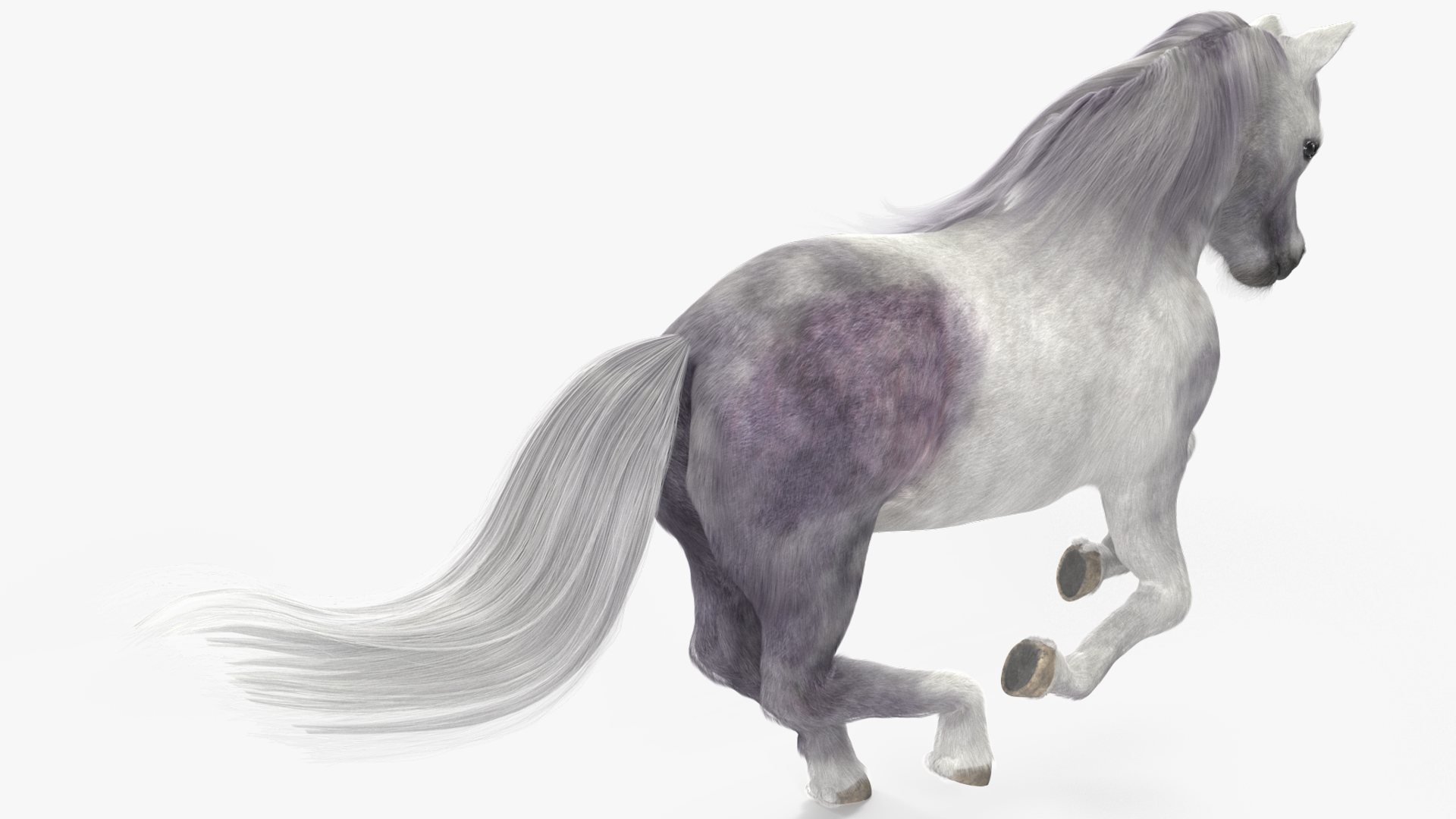 3D White Pony with Long Mane Fur Rigged