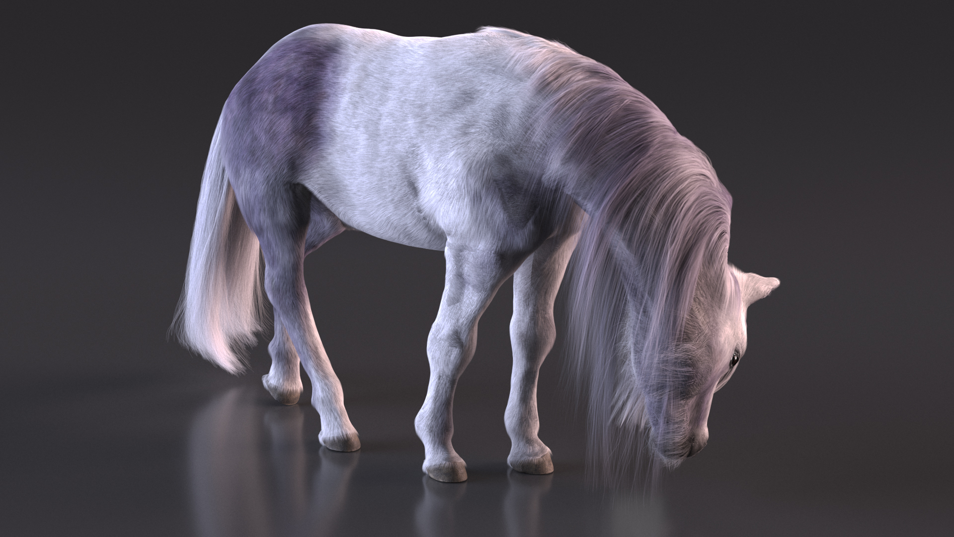 3D White Pony with Long Mane Fur Rigged