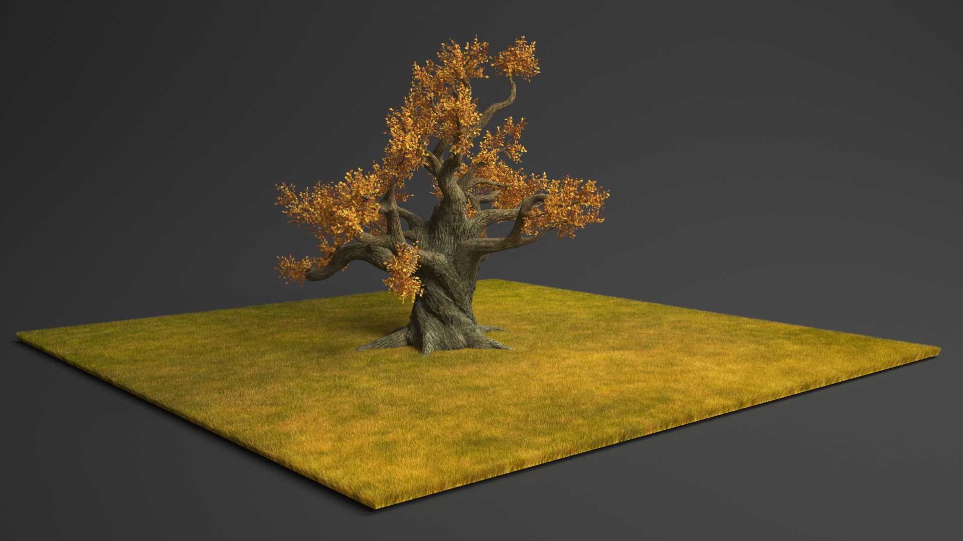 3D Autumn Oak Tree on Grass Fur model