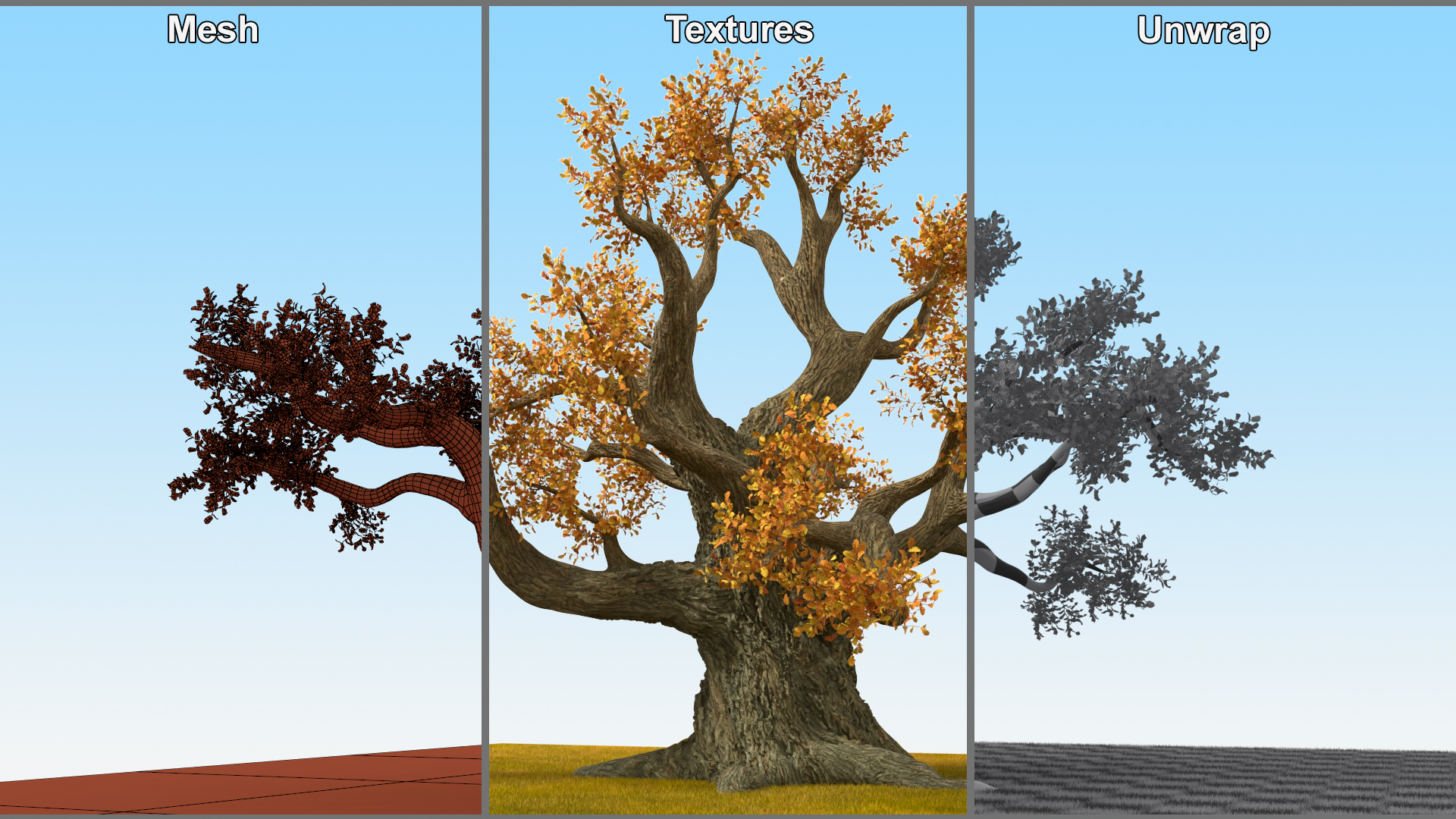 3D Autumn Oak Tree on Grass Fur model