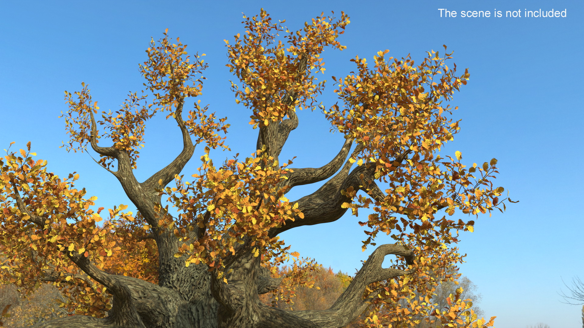 3D Autumn Oak Tree on Grass Fur model