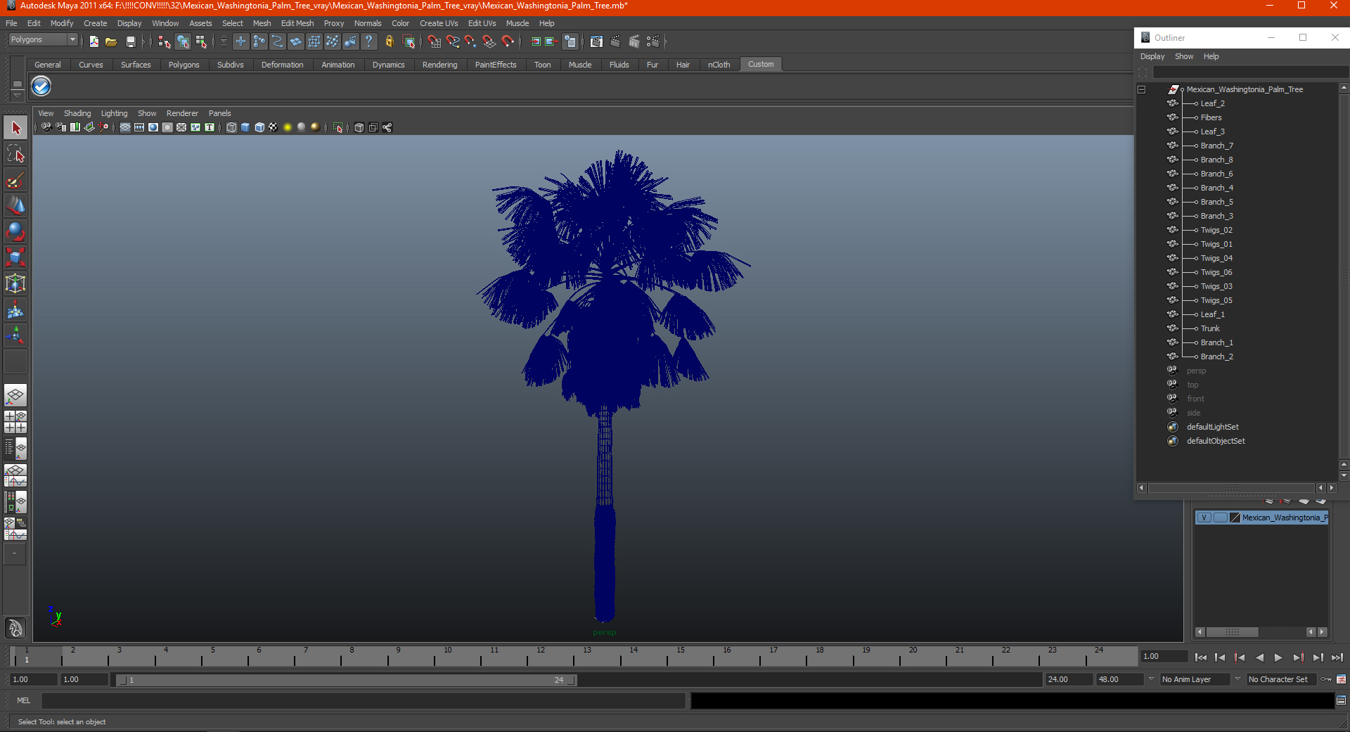 3D model Mexican Washingtonia Palm Tree