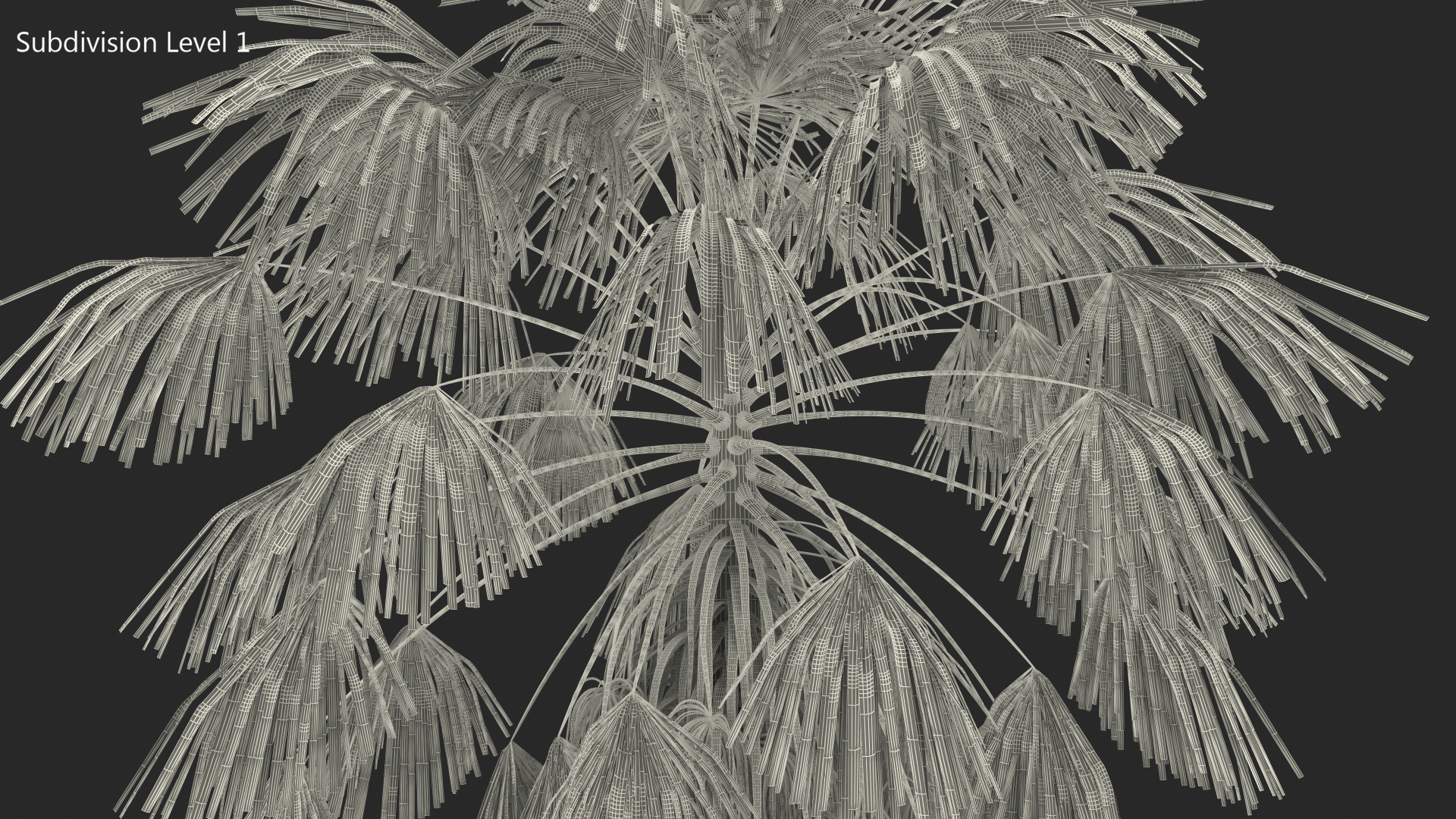 3D model Mexican Washingtonia Palm Tree