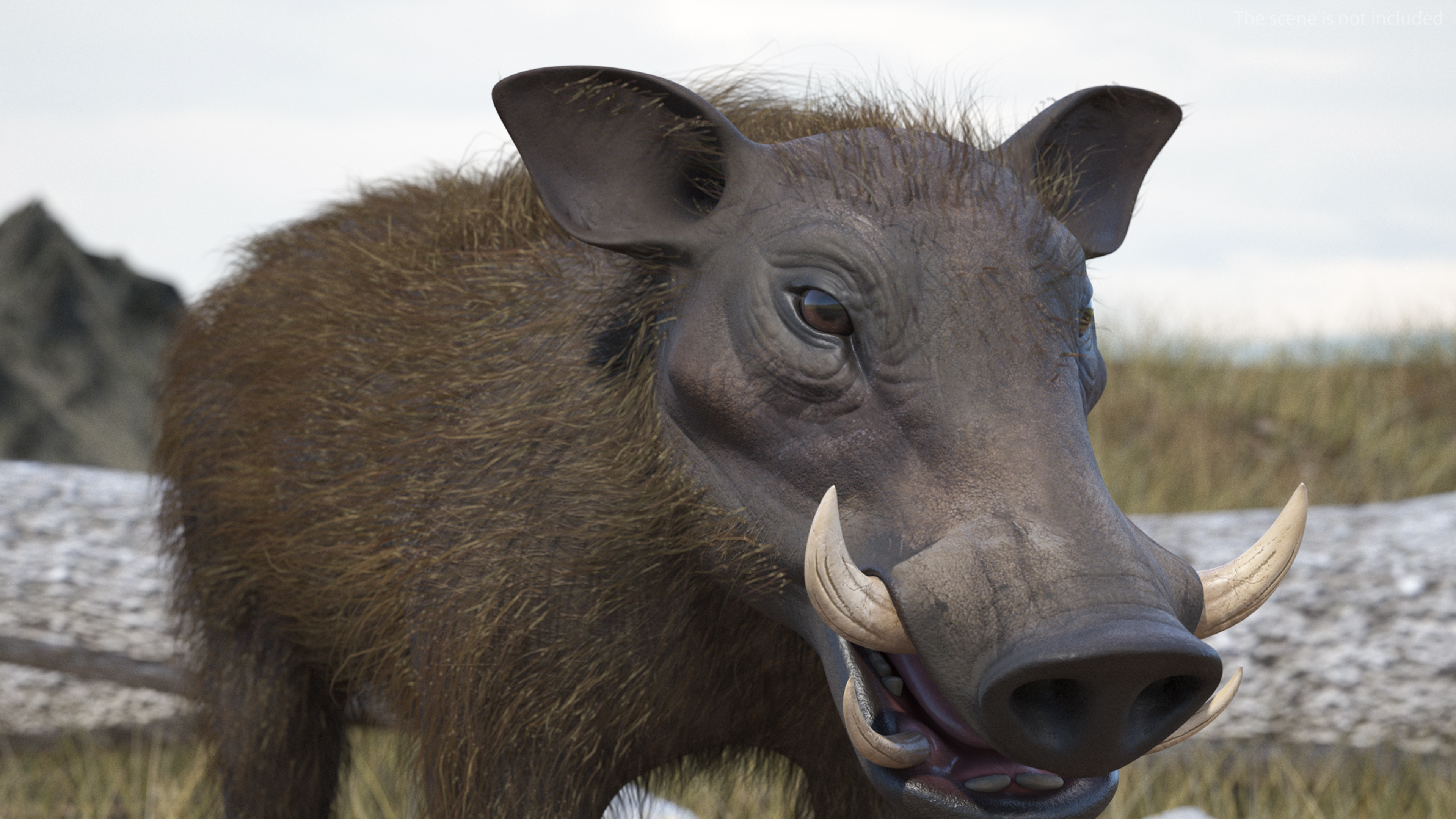 3D Warthog Fur Rigged model