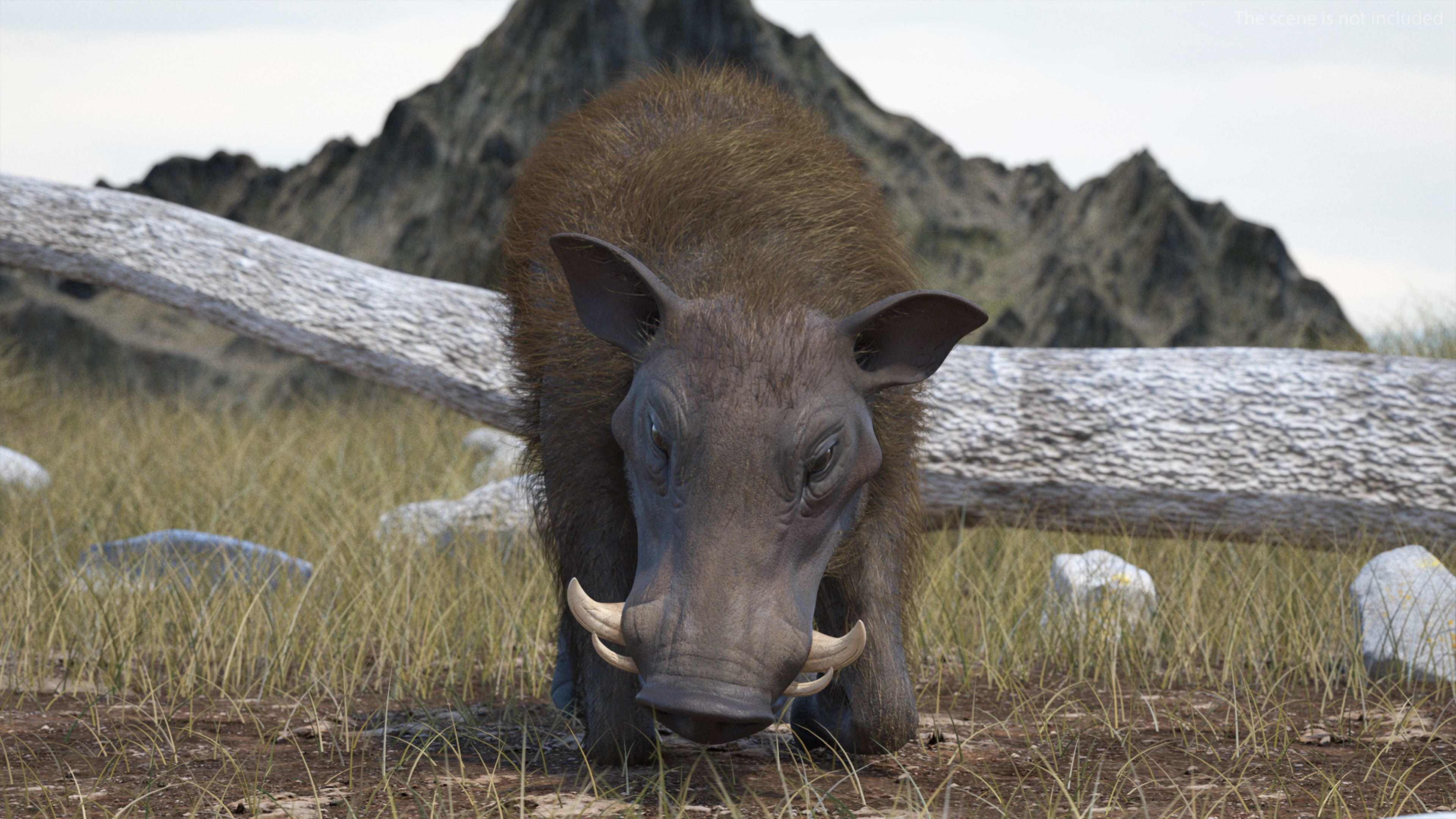 3D Warthog Fur Rigged model