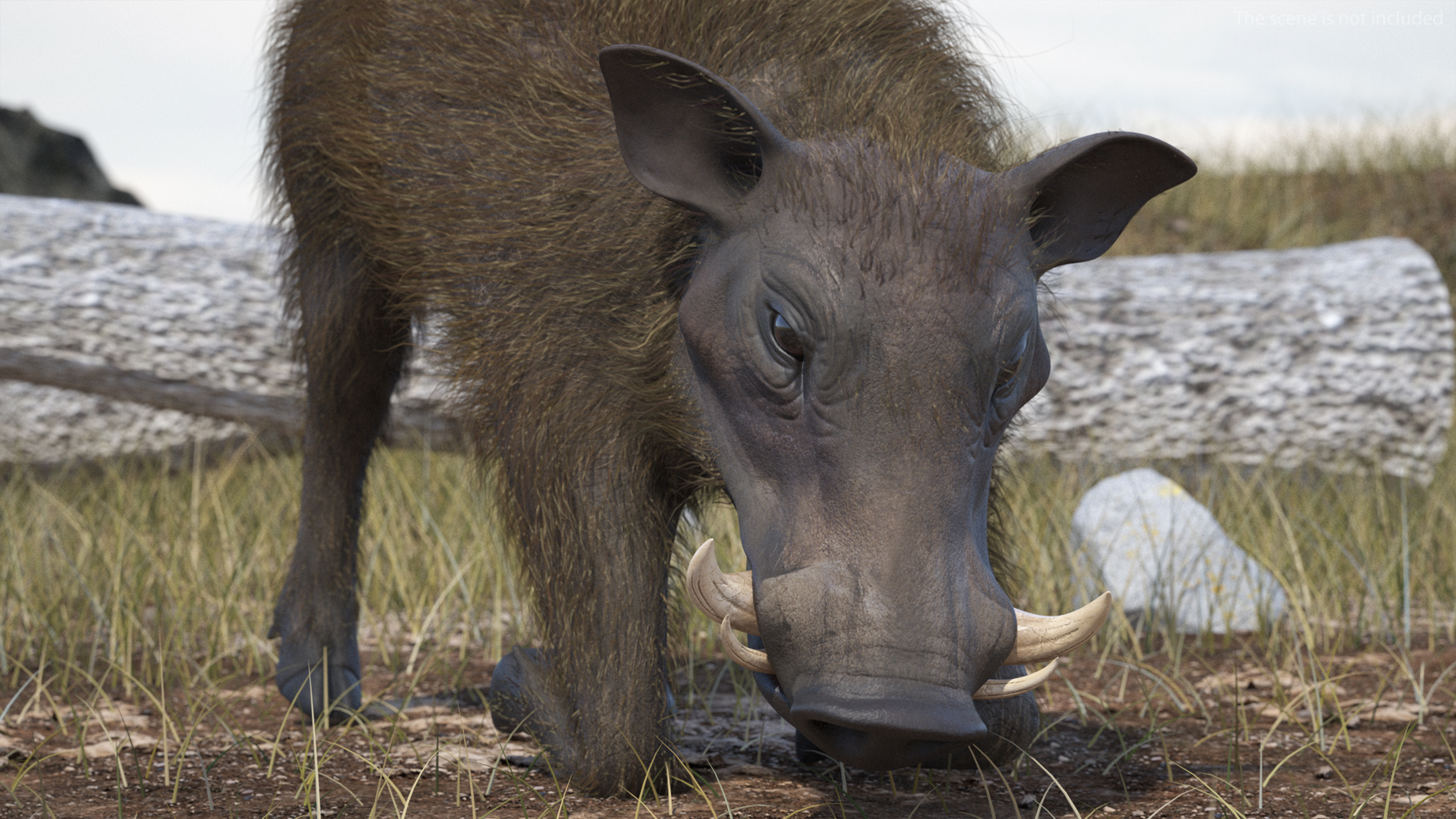 3D Warthog Fur Rigged model