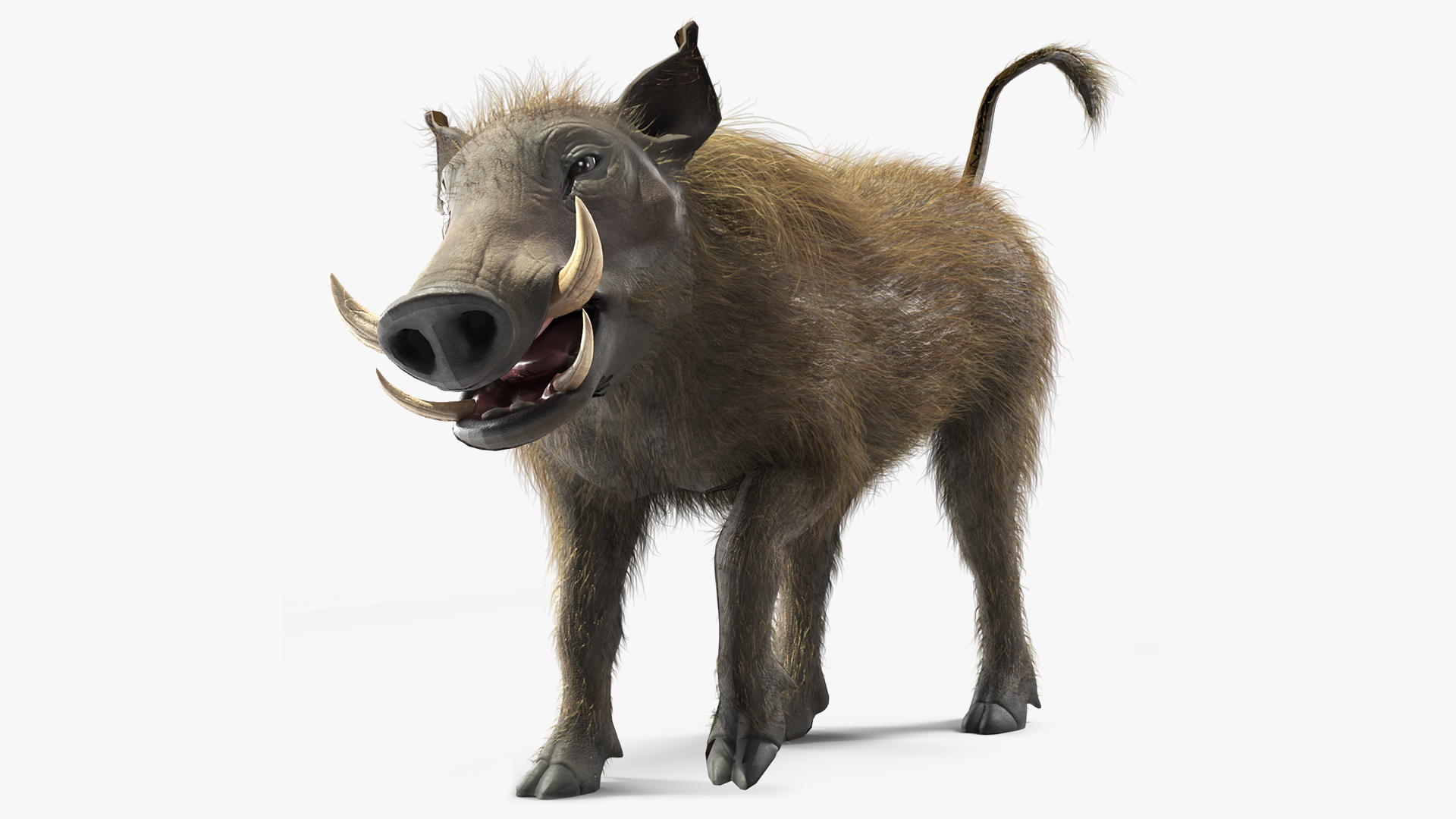 3D Warthog Fur Rigged model