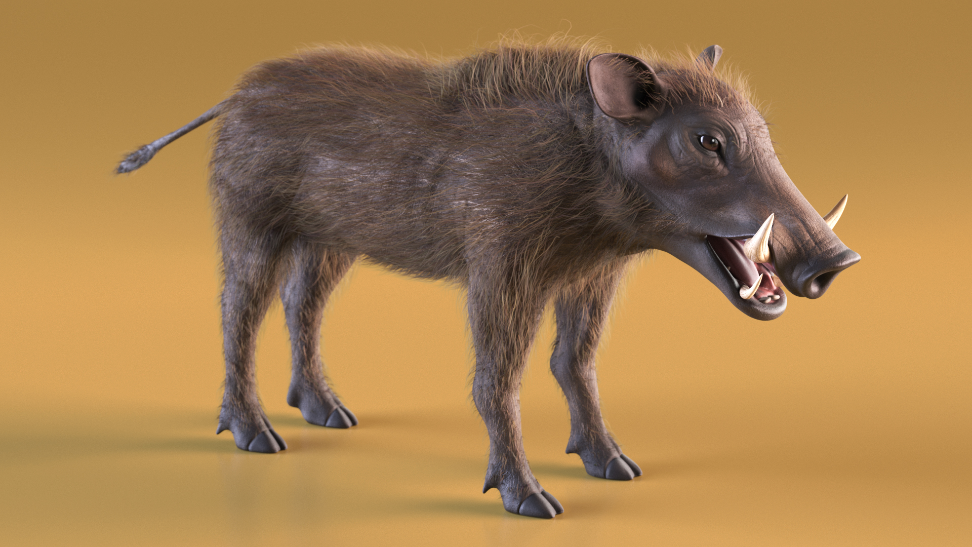 3D Warthog Fur Rigged model