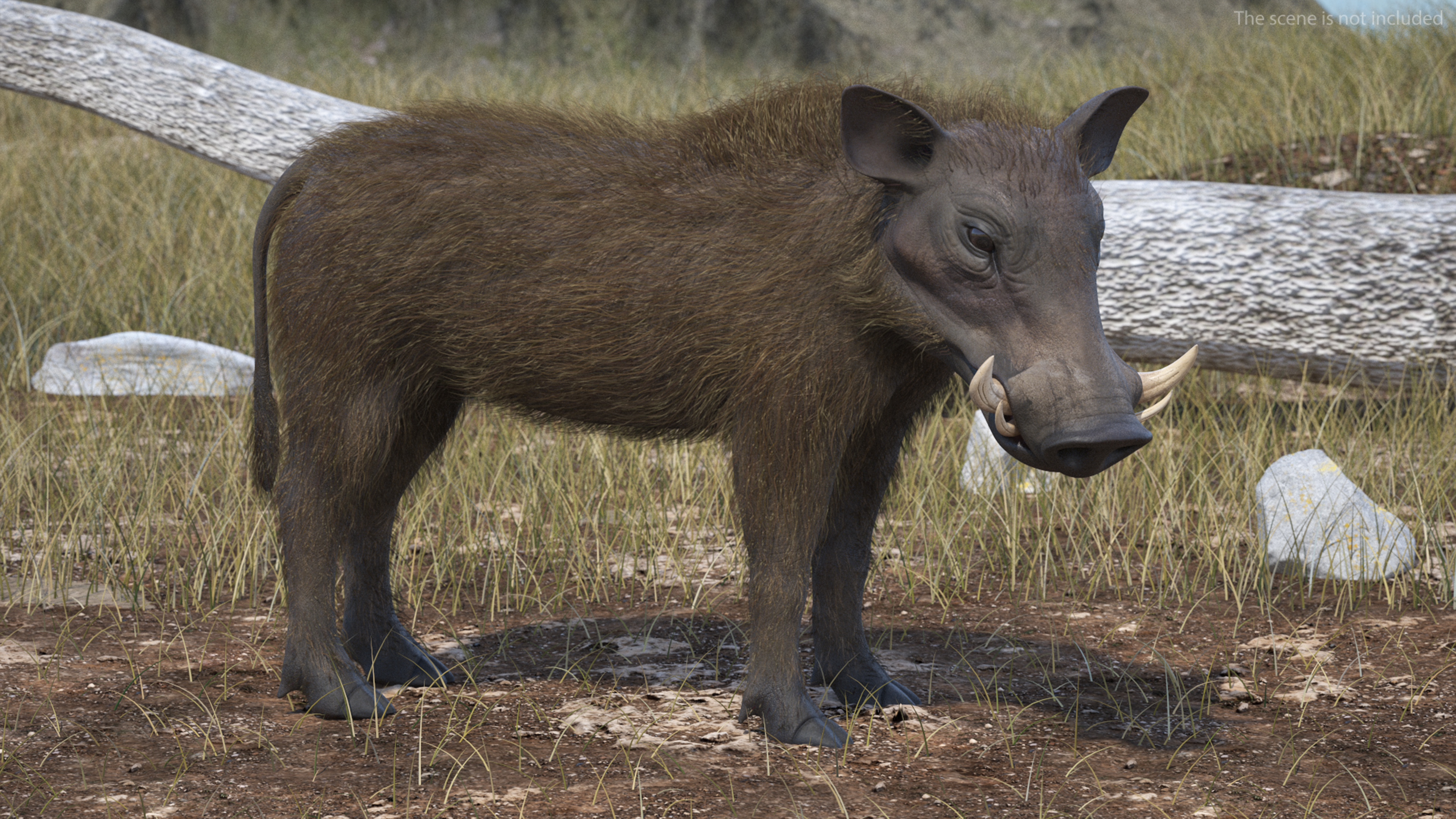 3D Warthog Fur Rigged model