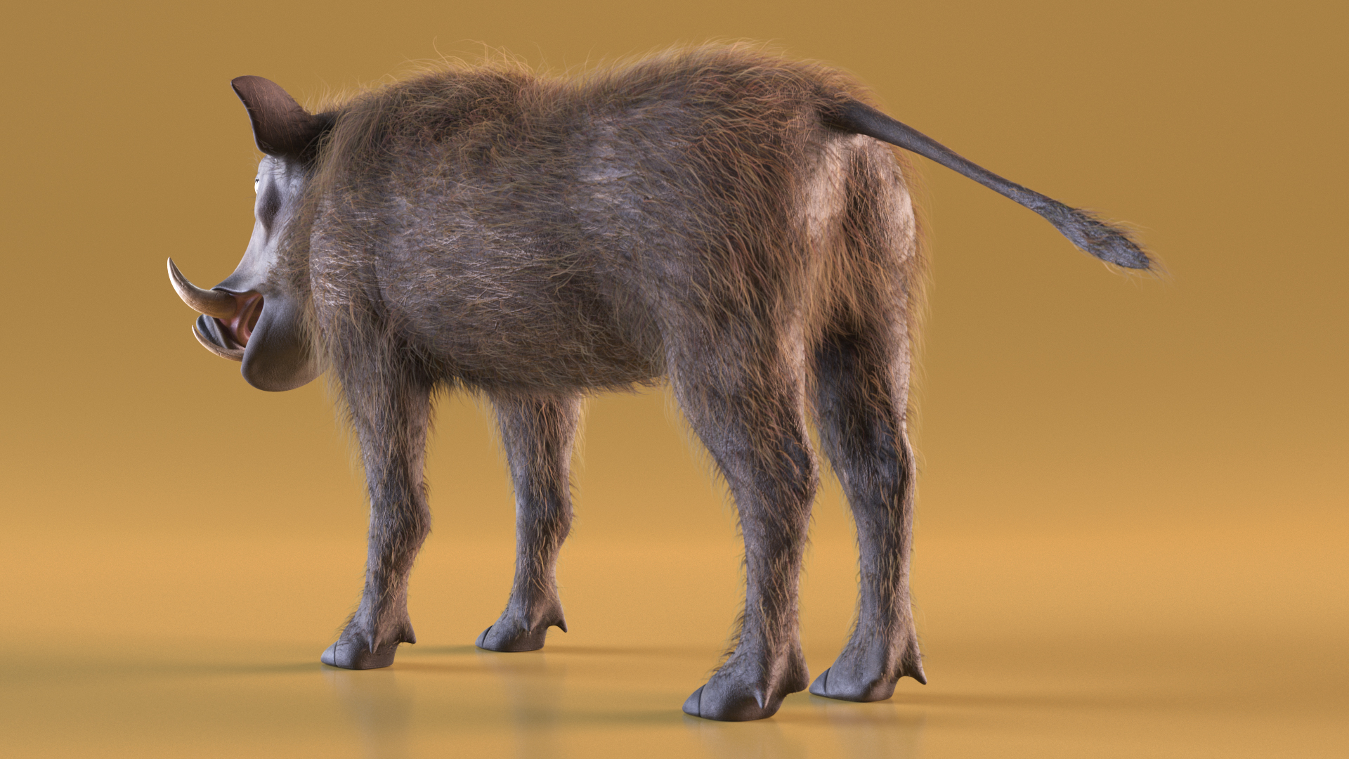 3D Warthog Fur Rigged model