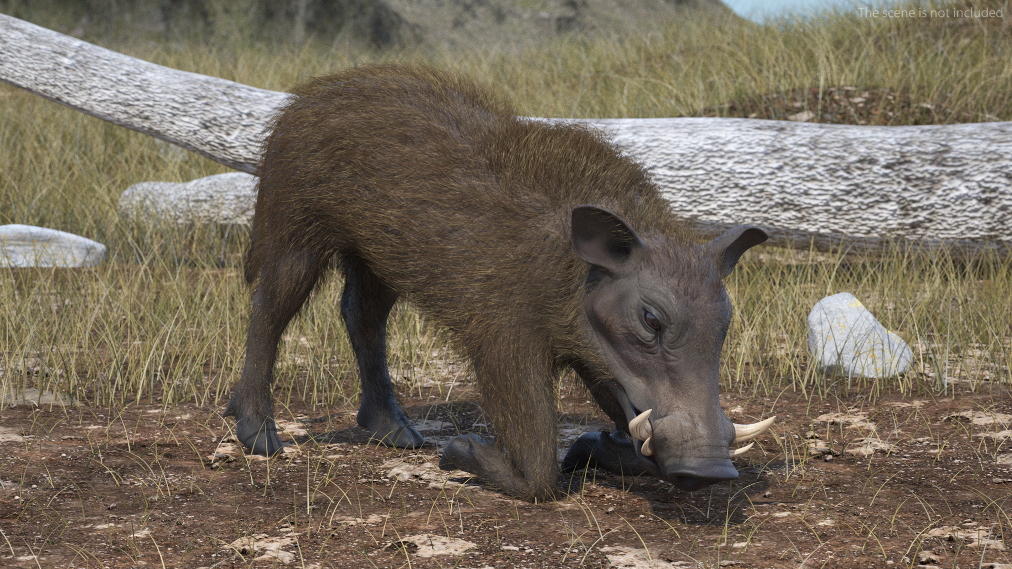 3D Warthog Fur Rigged model