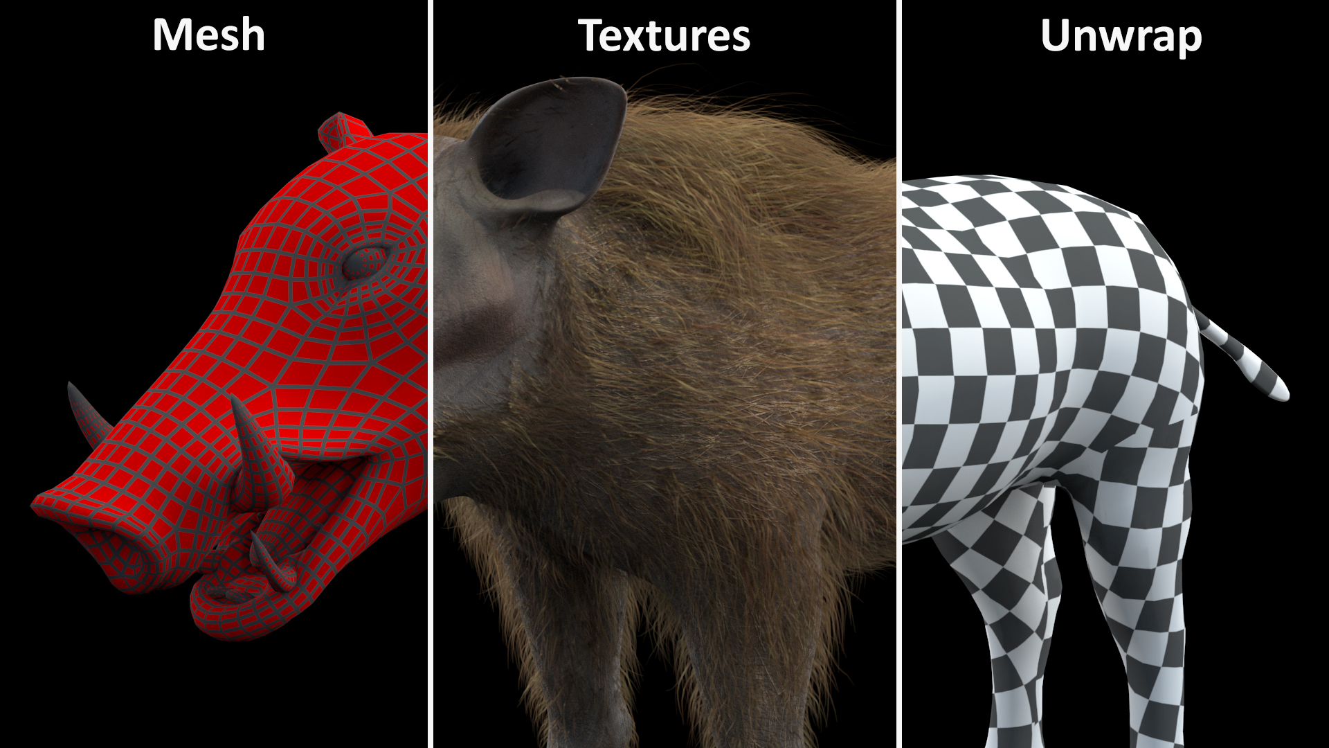 3D Warthog Fur Rigged model