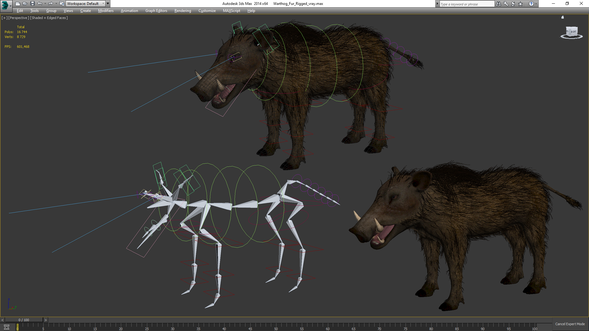 3D Warthog Fur Rigged model