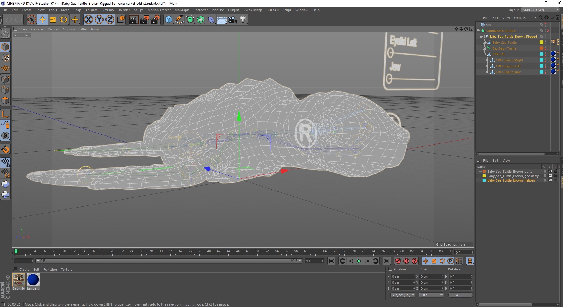 Baby Sea Turtle Brown Rigged for Cinema 4D 3D