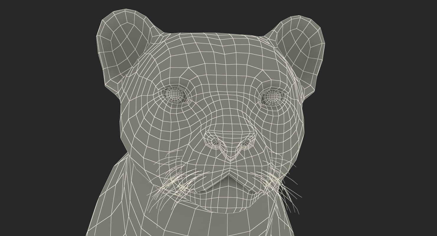 Cheetah 3D model