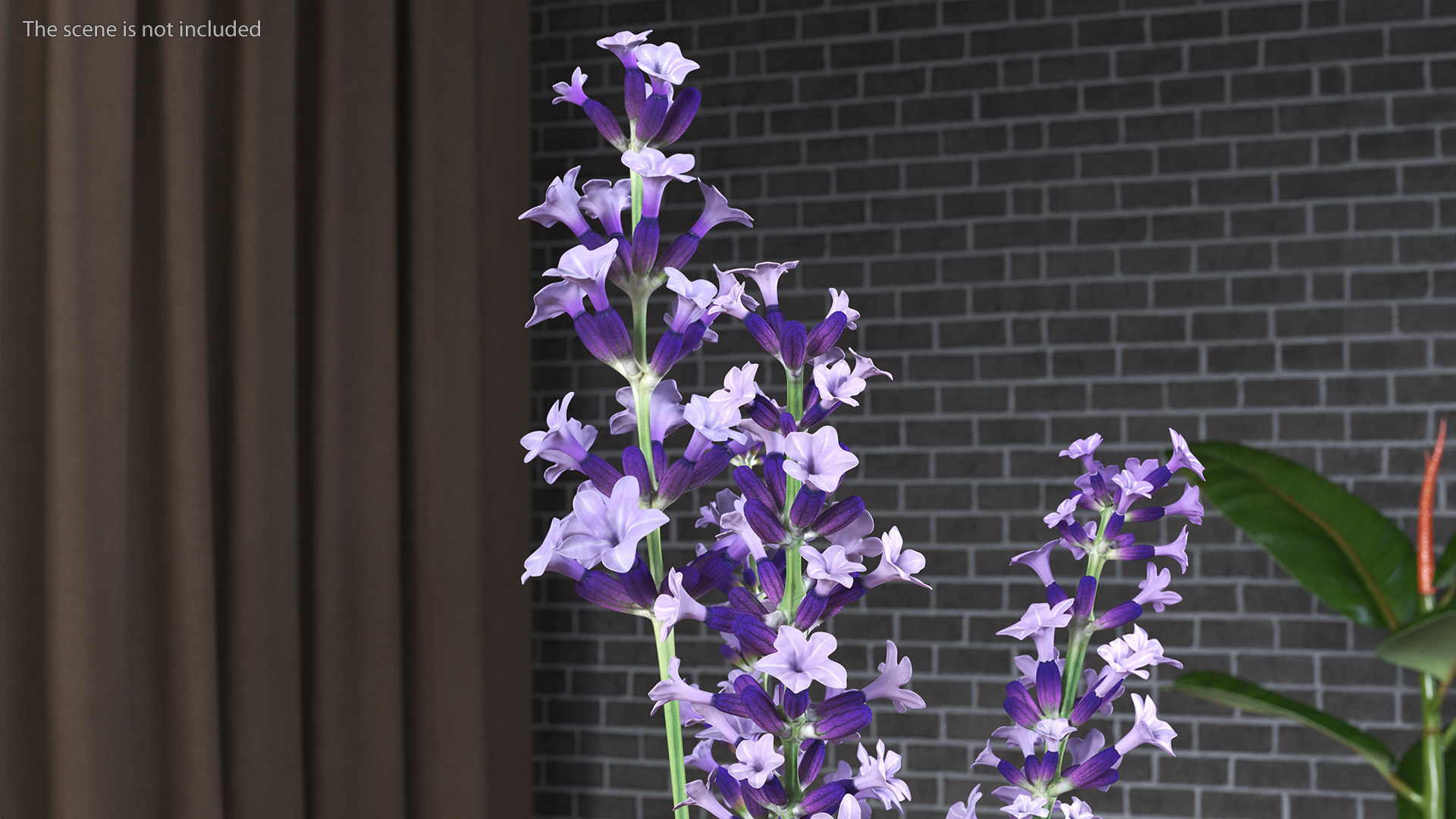 3D Vase with Lavender Flowers