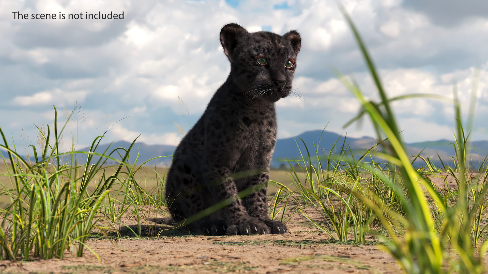 3D Black Leopard Cub with Fur Rigged model