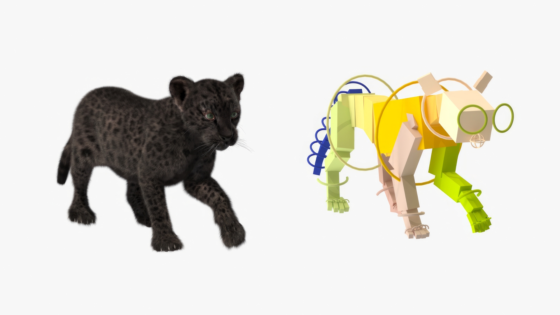 3D Black Leopard Cub with Fur Rigged model