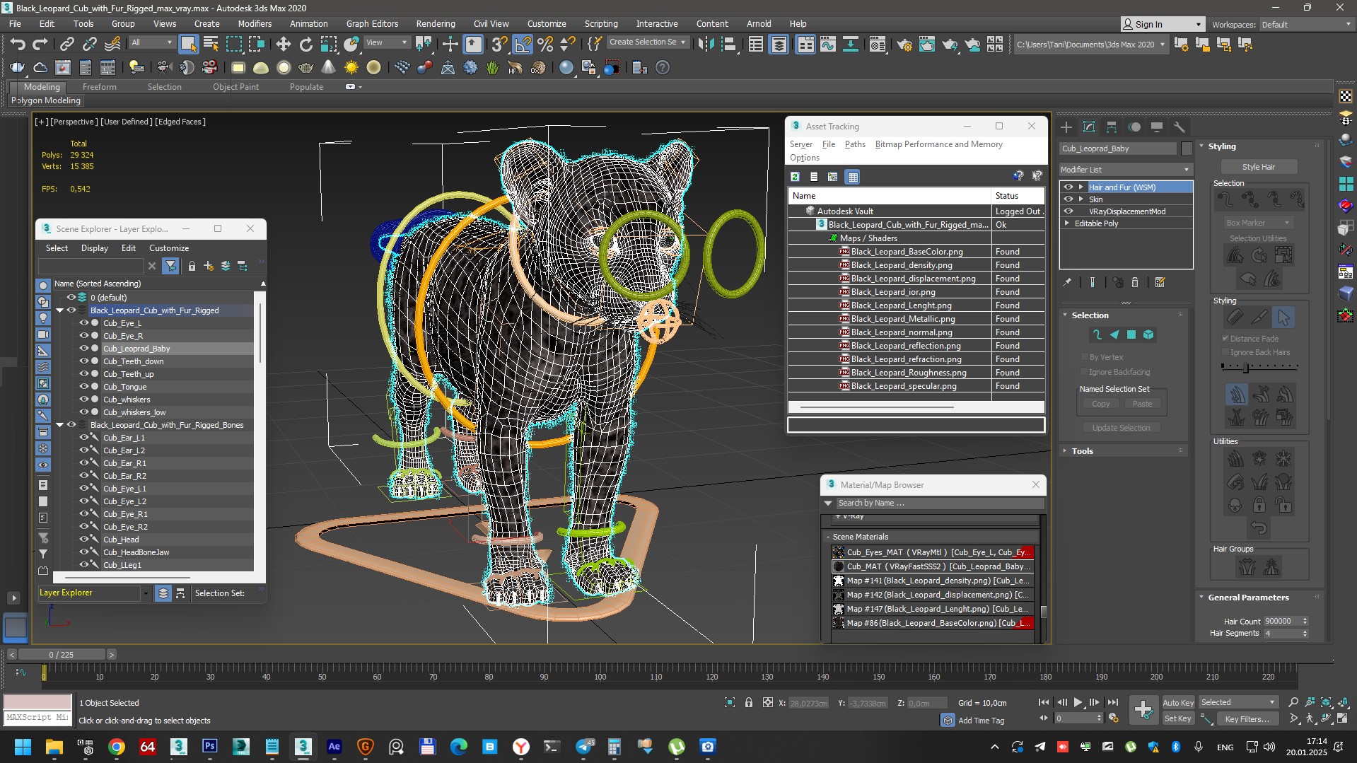 3D Black Leopard Cub with Fur Rigged model