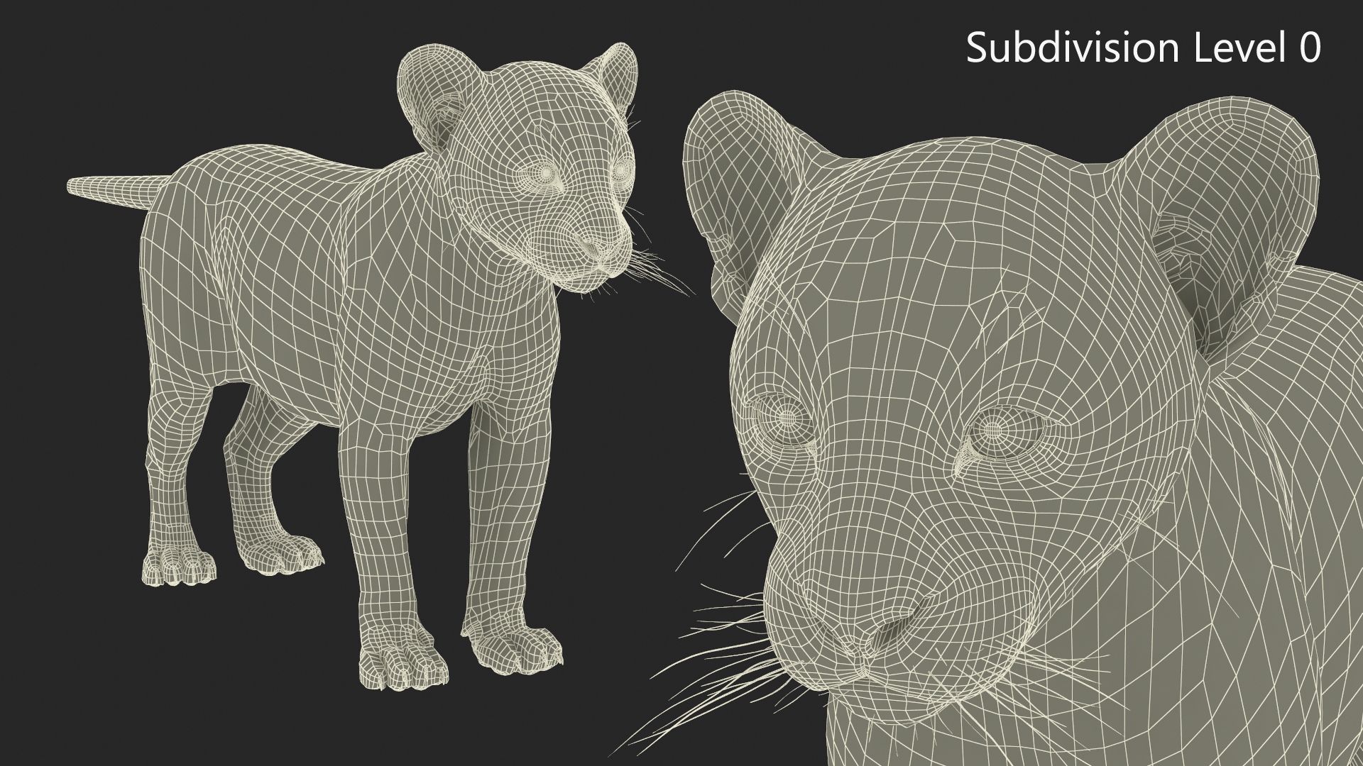 3D Black Leopard Cub with Fur Rigged model