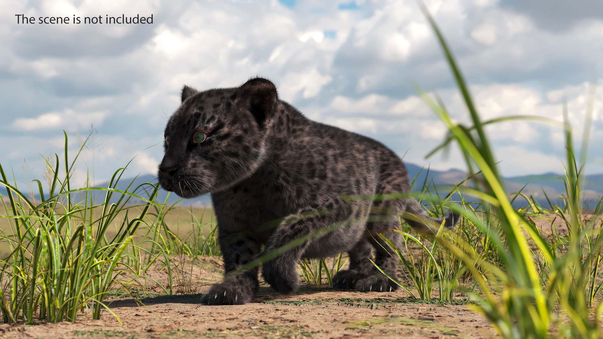 3D Black Leopard Cub with Fur Rigged model