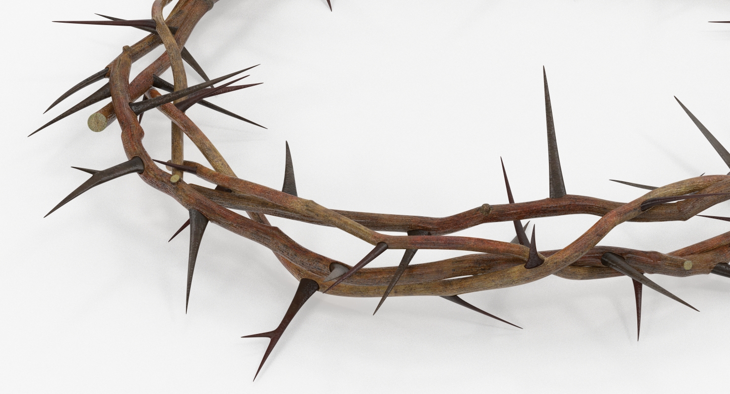 3D model Crown of Thorns