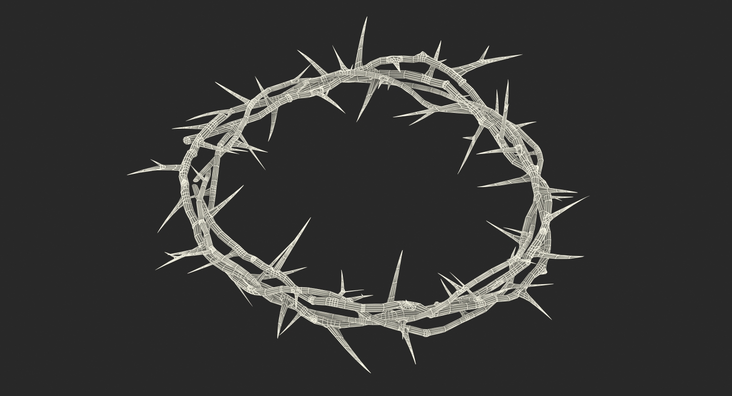 3D model Crown of Thorns