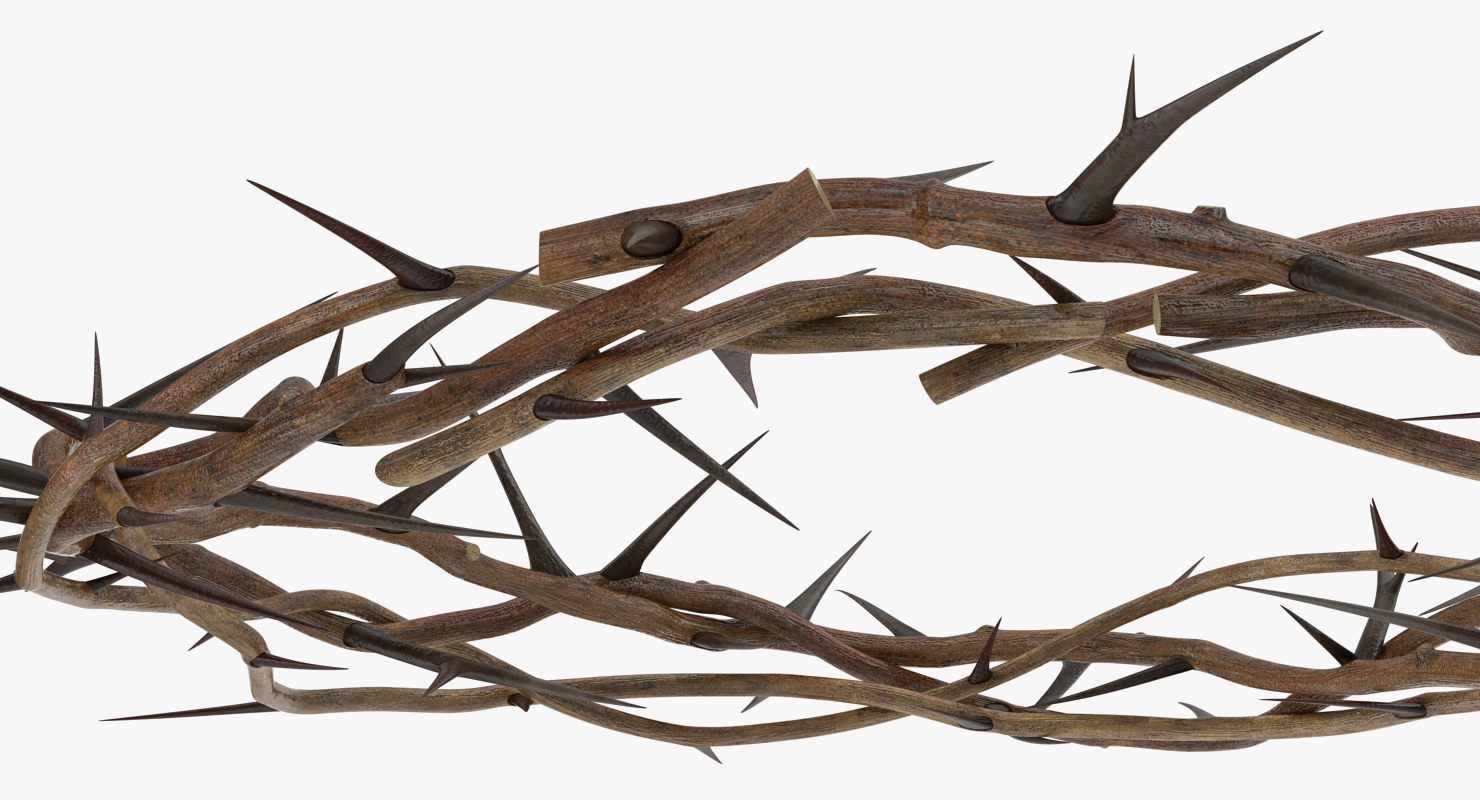 3D model Crown of Thorns