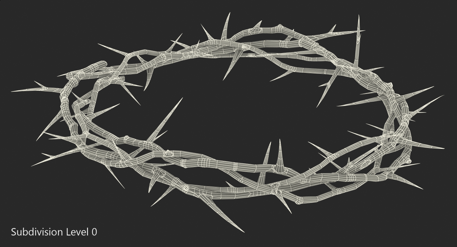 3D model Crown of Thorns