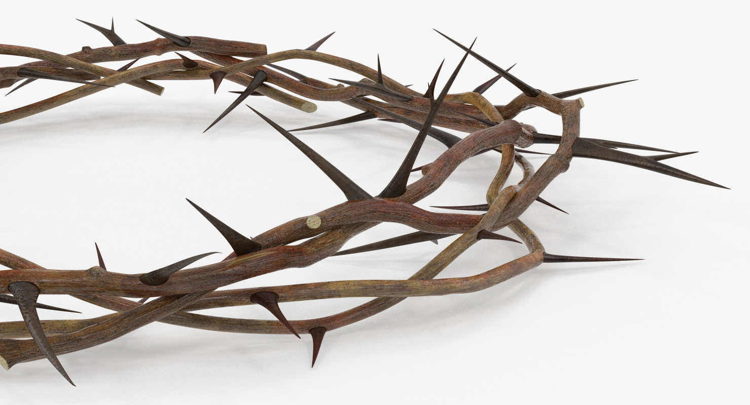 3D model Crown of Thorns