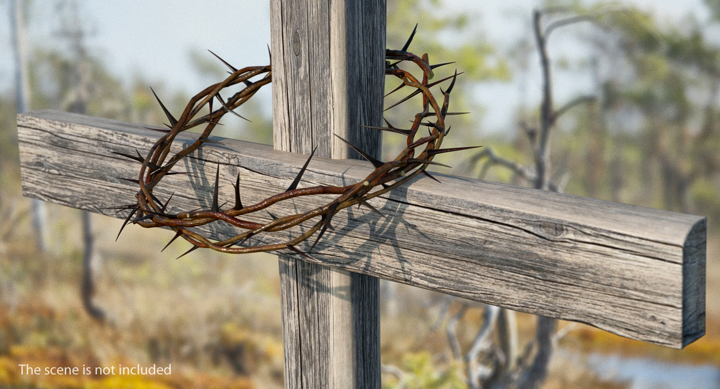 3D model Crown of Thorns