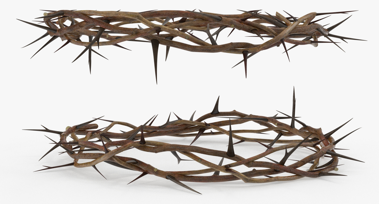 3D model Crown of Thorns