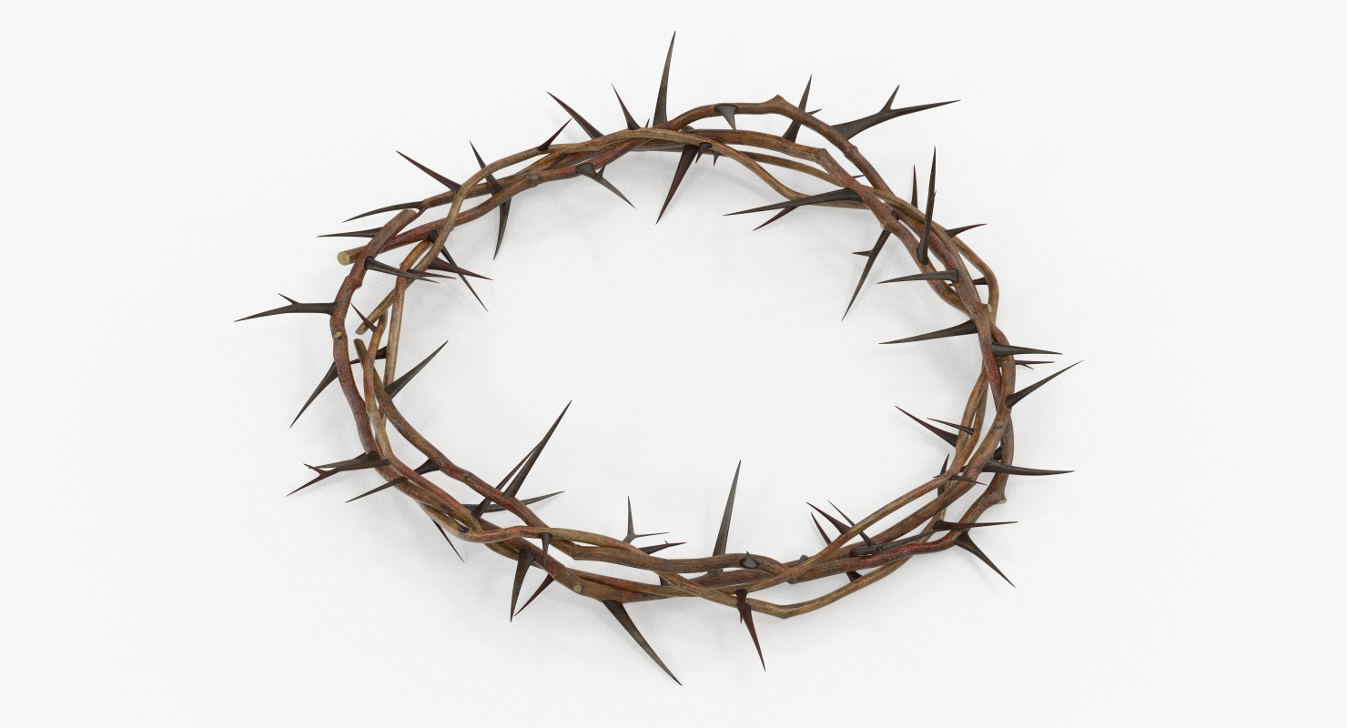 3D model Crown of Thorns