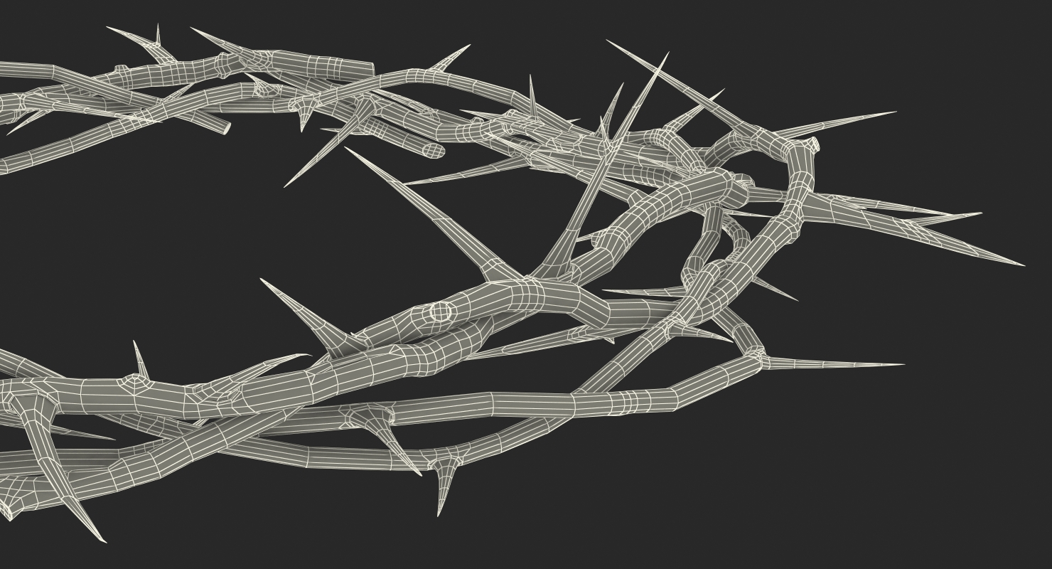 3D model Crown of Thorns