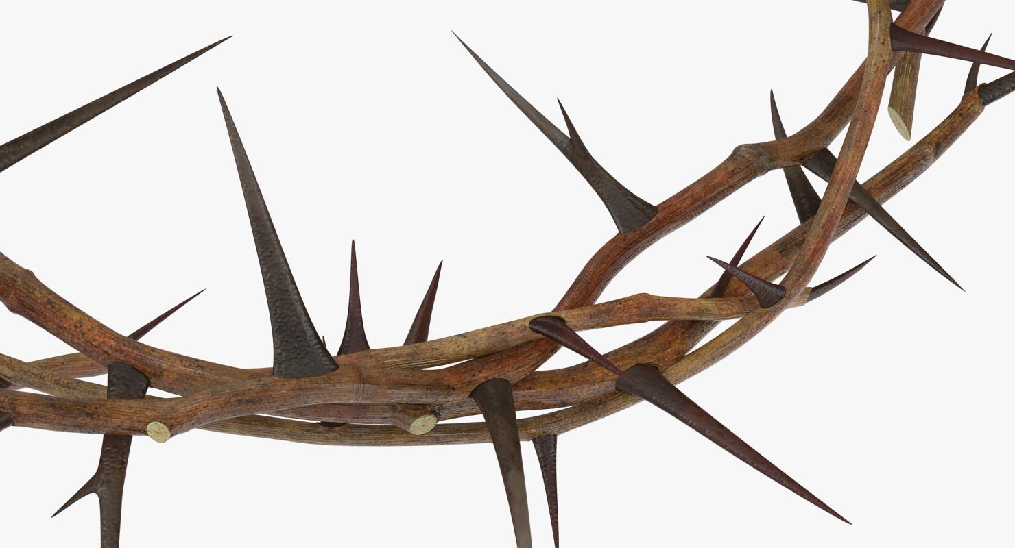 3D model Crown of Thorns