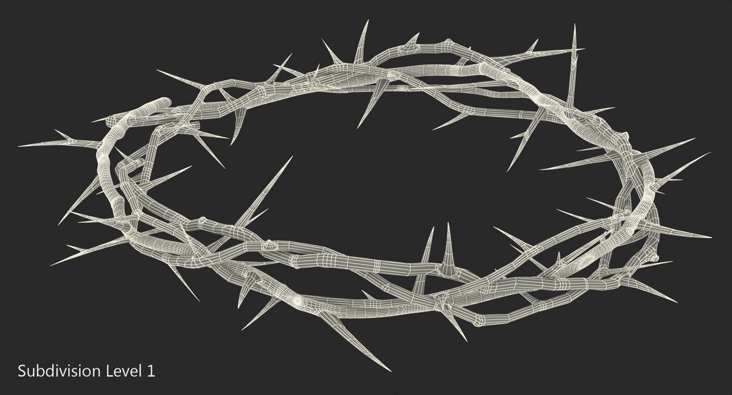 3D model Crown of Thorns