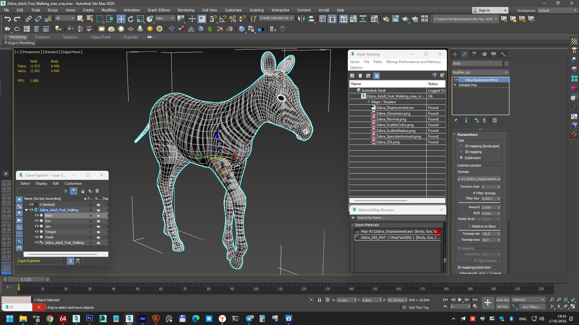 Zebra Adult Foal Walking 3D model