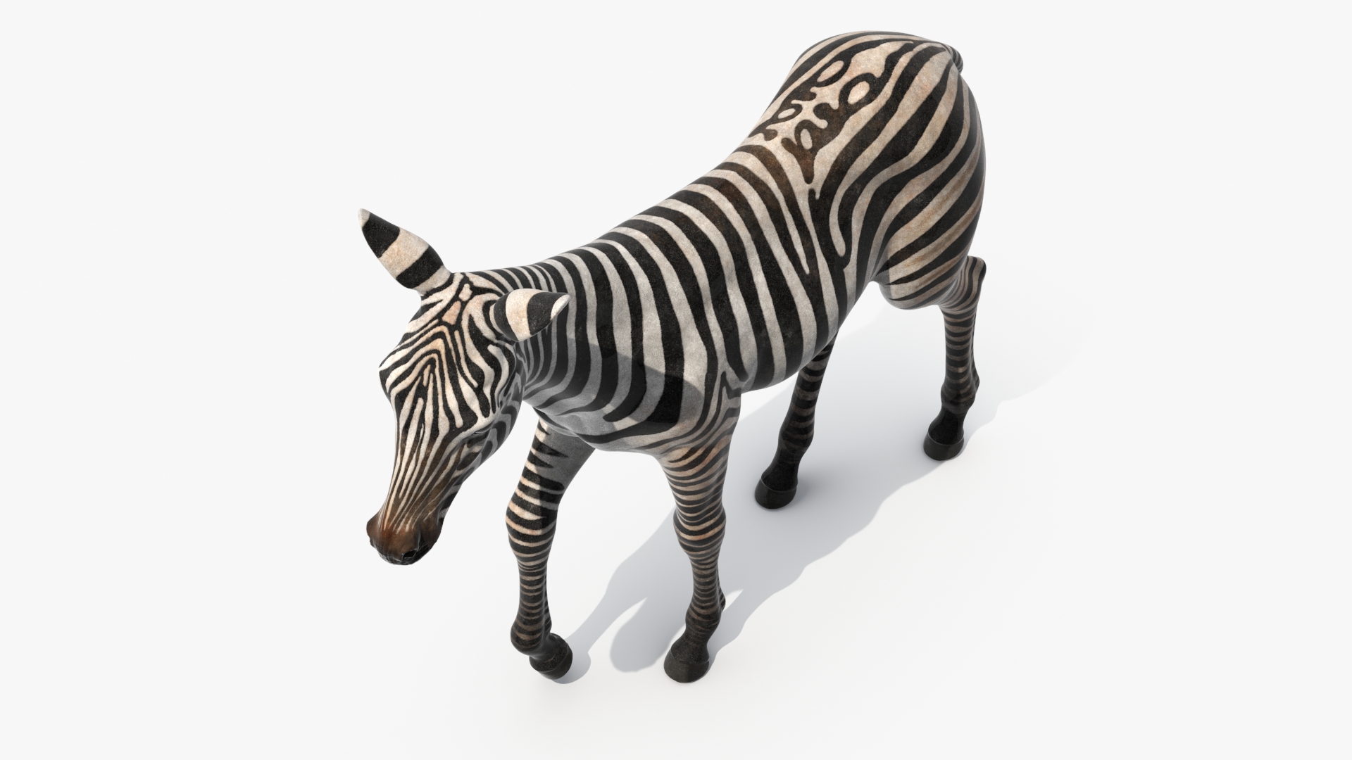 Zebra Adult Foal Walking 3D model