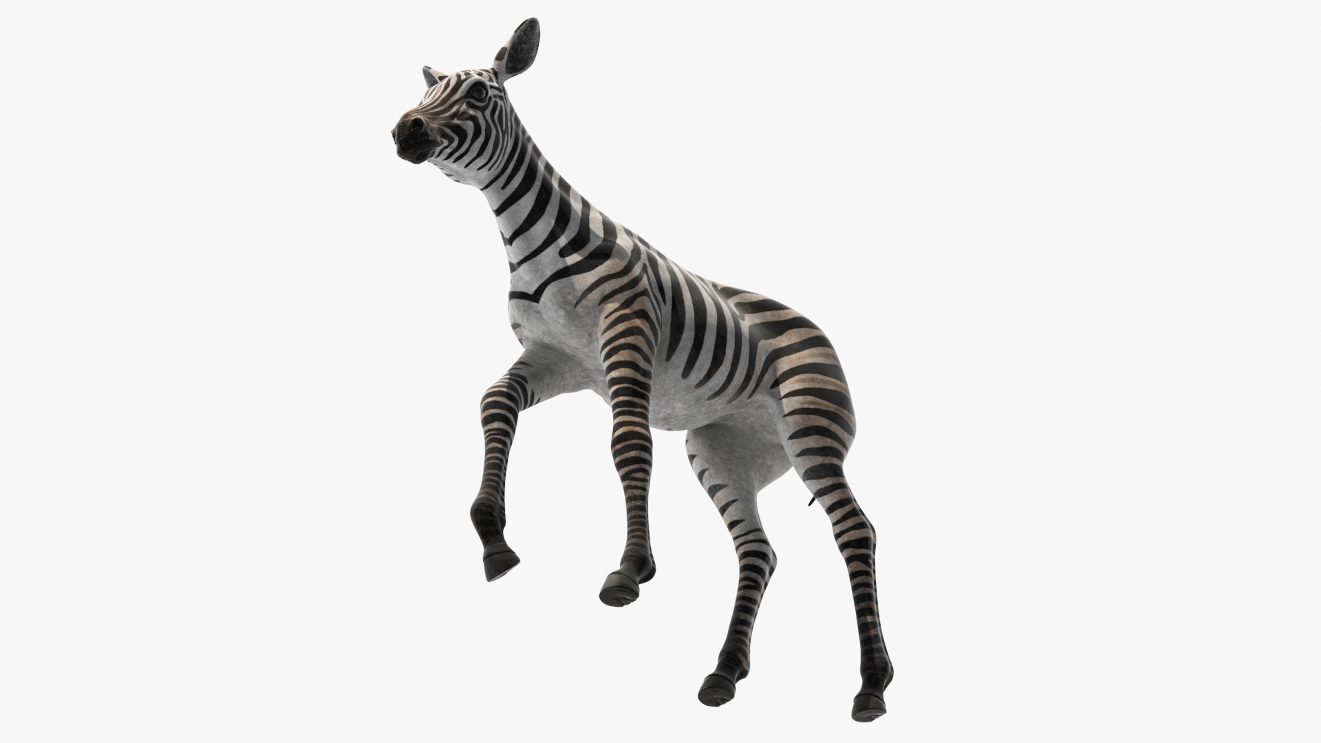 Zebra Adult Foal Walking 3D model