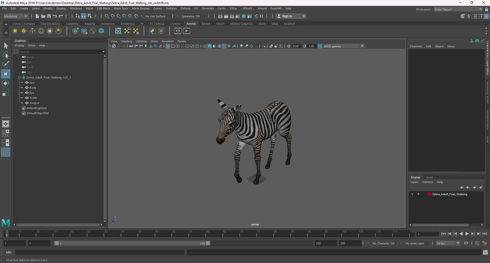 Zebra Adult Foal Walking 3D model