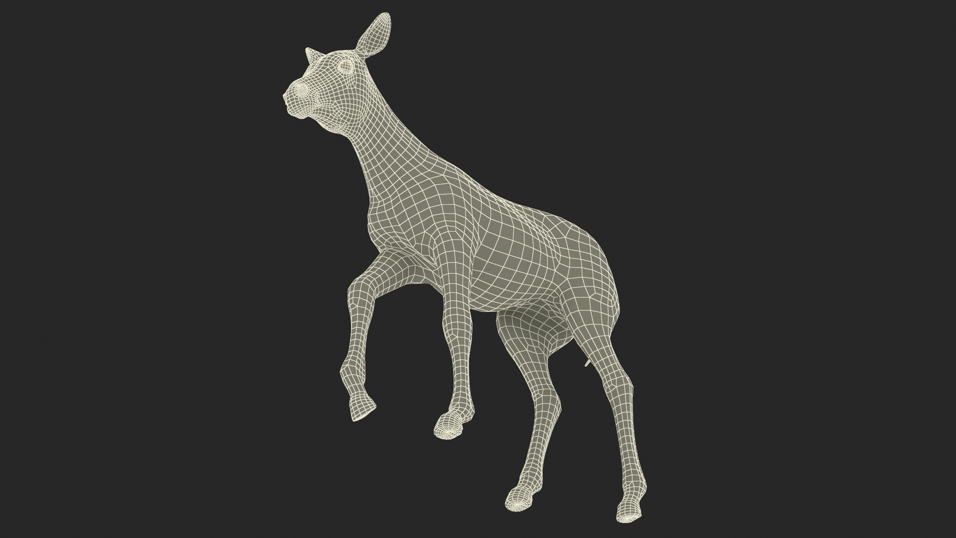 Zebra Adult Foal Walking 3D model