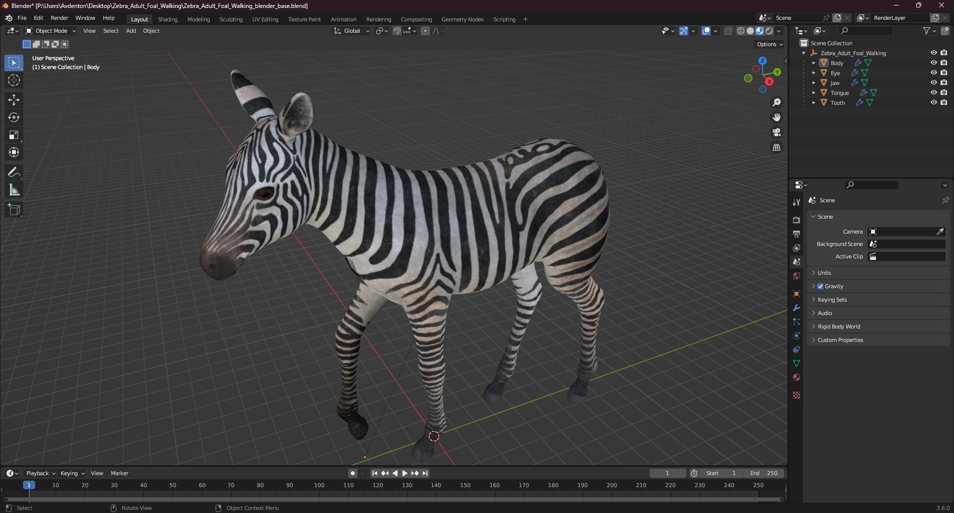 Zebra Adult Foal Walking 3D model