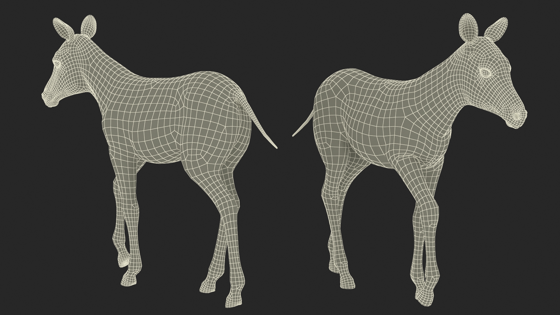 Zebra Adult Foal Walking 3D model