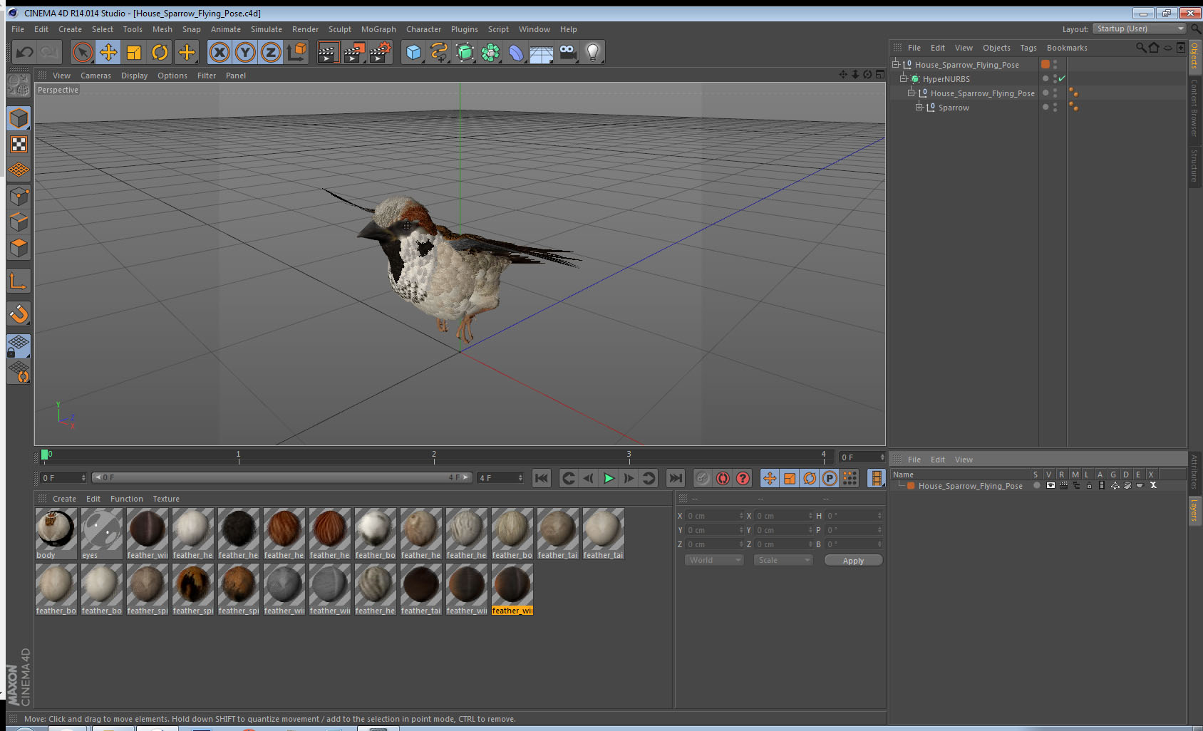 3D model House Sparrow Flying Pose