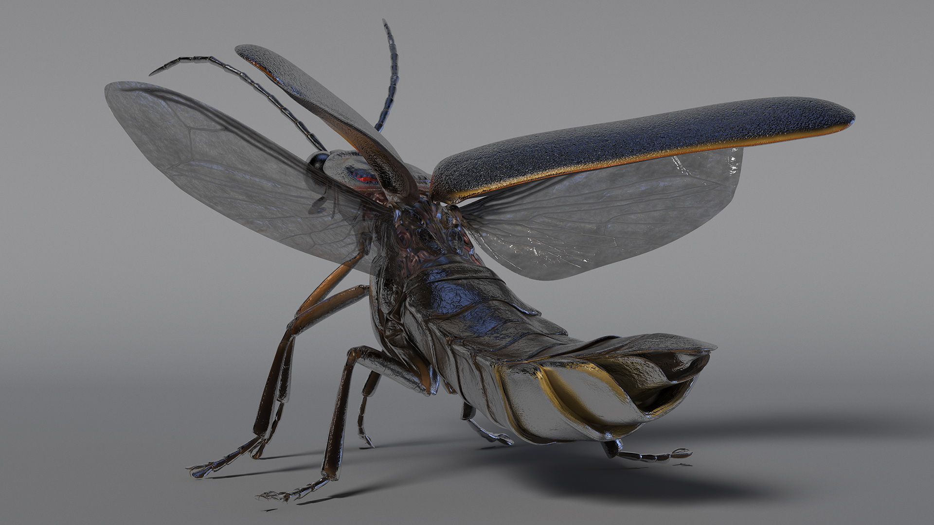 3D model Photinus Pyralis Standing Pose